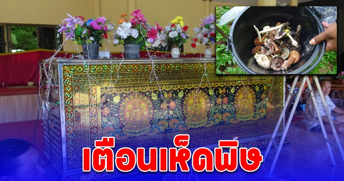 ชาวบ้านเก็บเห็ดมาปรุงอาหารดับแล้ว 2 รายโคม่า 1