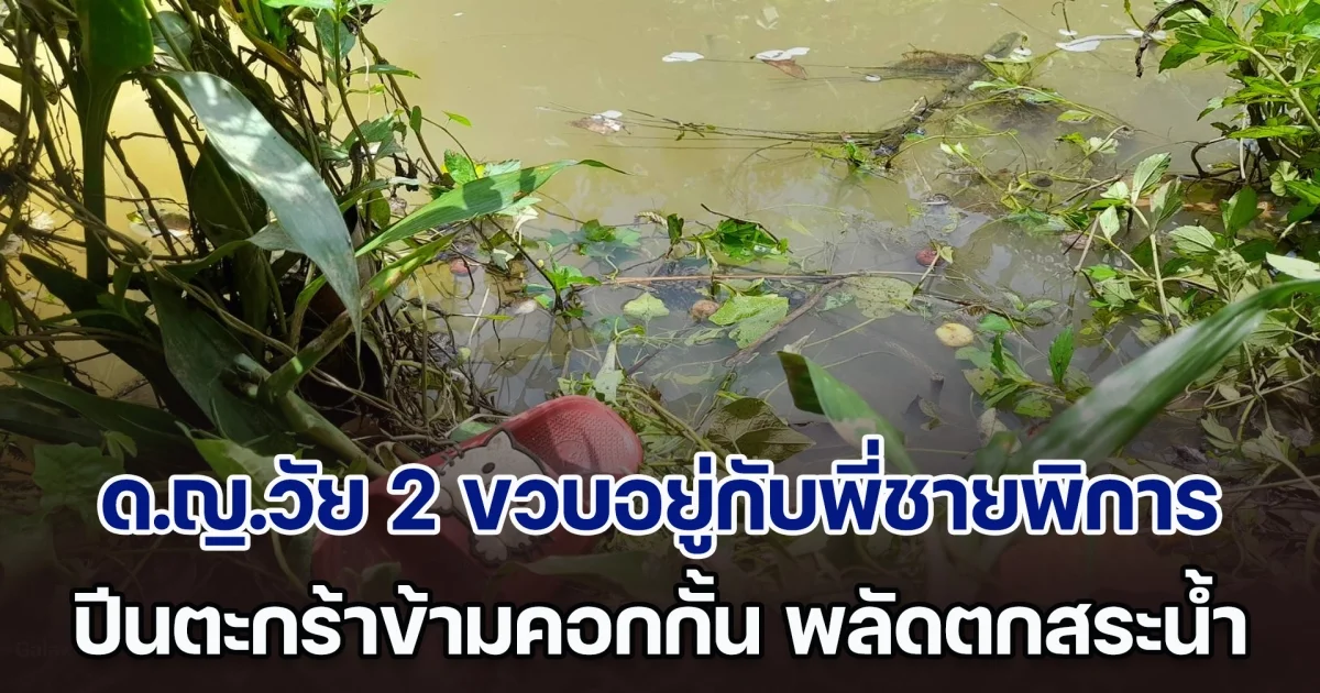 บีบหัวใจพ่อแม่ ด.ญ.วัย 2 ขวบอยู่กับพี่ชายพิการ ปีนตะกร้าข้ามคอกกั้น ก่อนพลัดตกสระน้ำเสียชีวิต
