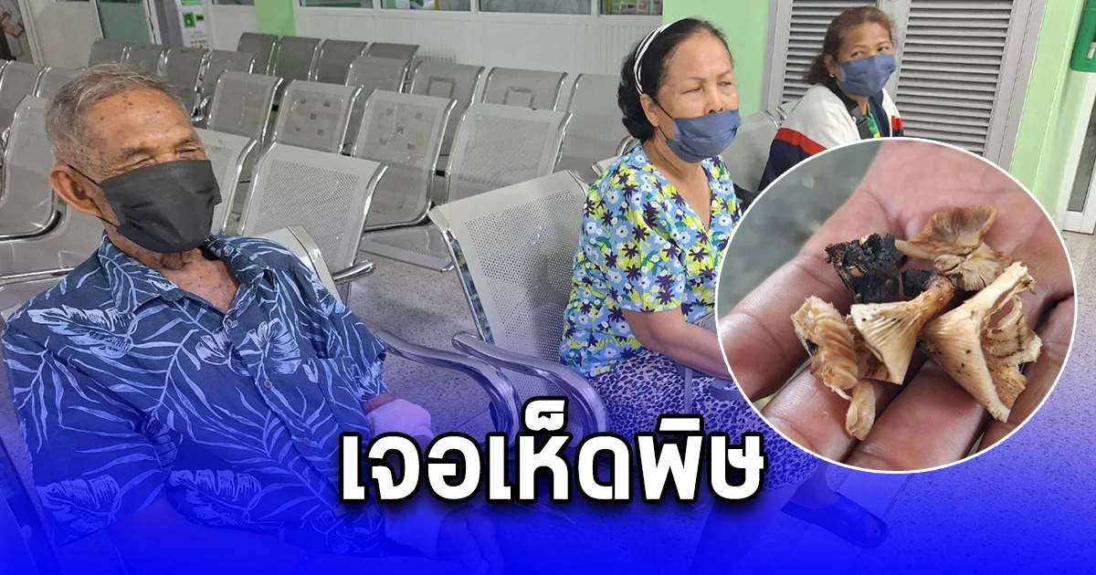 ตาวัย 81 สายตาไม่ดี เก็บเห็ดป่ามาแกงแบ่งญาติ เจอเห็ดพิษ