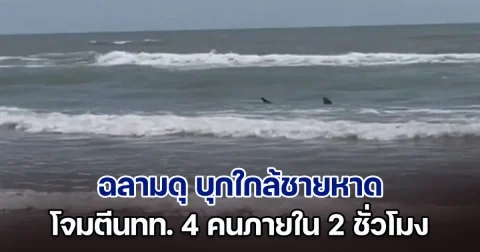 สยองรับวันชาติสหรัฐฯ ฉลามดุ บุกใกล้หาด โจมตีนักท่องเที่ยว 4 คนภายใน 2 ชั่วโมง จนท.เตือนด่วน อย่าเข้าใกล้