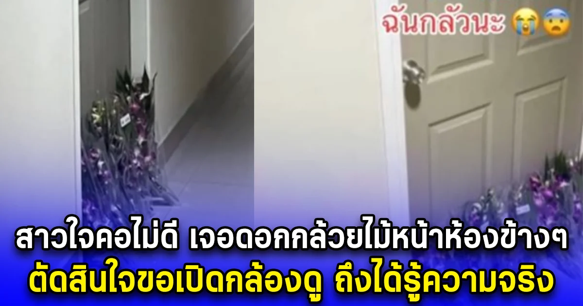 สาวใจคอไม่ดี เจอดอกกล้วยไม้หน้าห้องข้างๆ ตัดสินใจขอเปิดกล้องดู ถึงได้รู้ความจริง