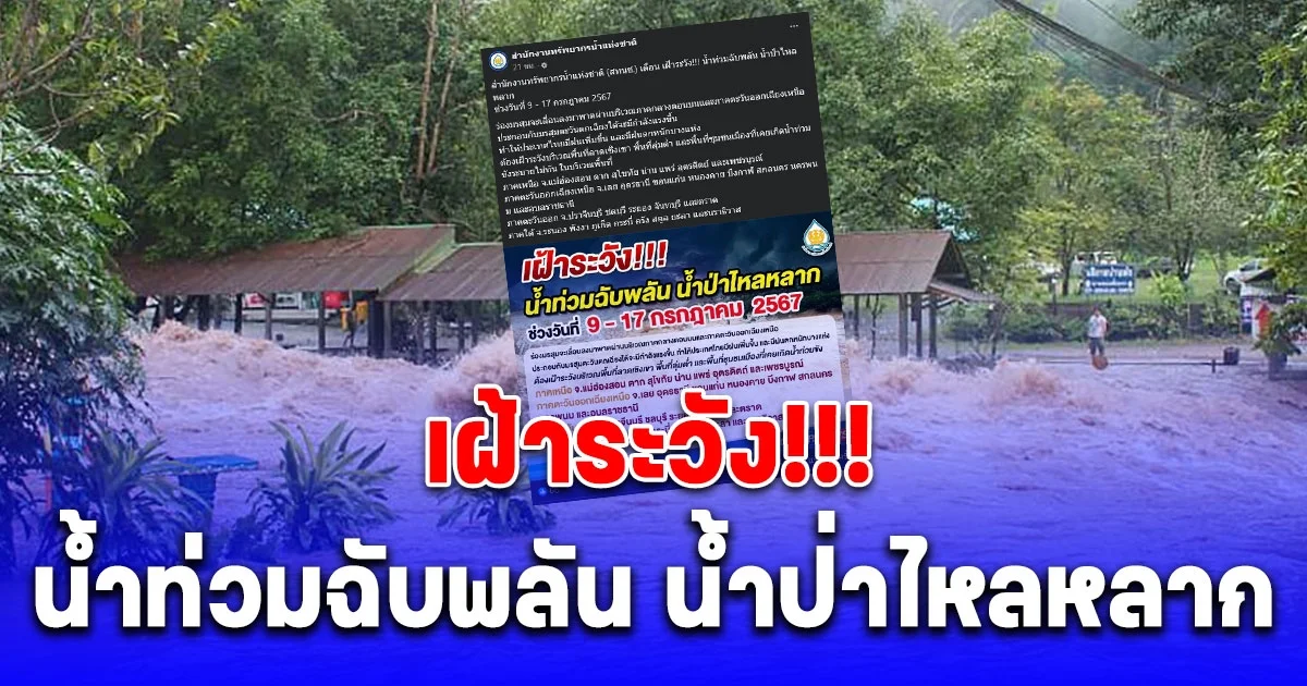 เปิดรายชื่อจังหวัด สทนช. เตือน เฝ้าระวังน้ำท่วมฉับพลัน น้ำป่าไหลหลาก 9-17 ก.ค. 67 นี้