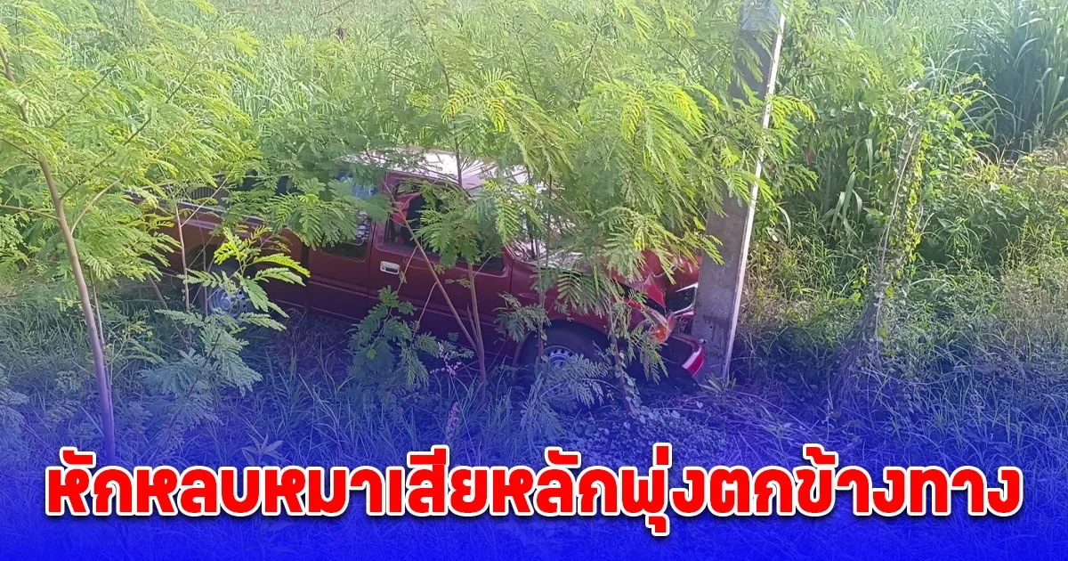 ลุงวัย 63 ปี ขับกระบะหาบอกญาติให้ไปร่วมงานบวชตัวเอง หลบหมาเสียหลักพุ่งตกข้างทางชนเสาไฟฟ้า