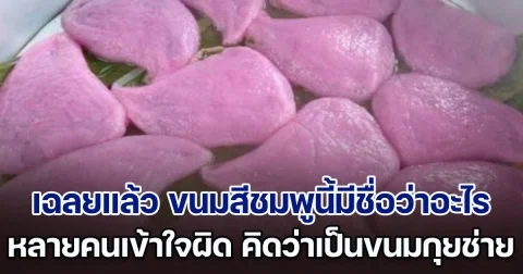 เฉลยแล้ว ขนมสีชมพูนี้มีชื่อว่าอะไร หลายคนเข้าใจผิด คิดว่าเป็นขนมกุยช่าย