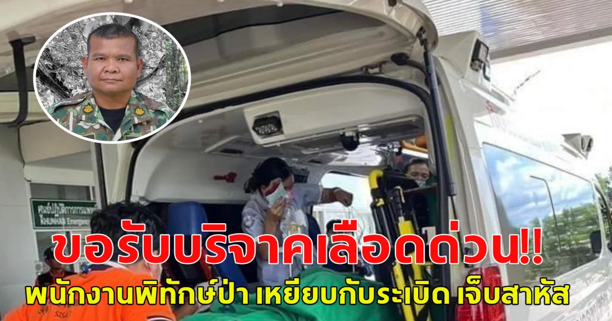 ขอรับบริจาคเลือดด่วน! ช่วยพนักงานพิทักษ์ป่า