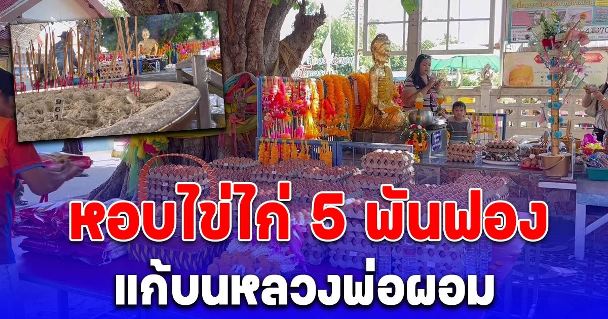 หนุ่มใหญ่จากกรุงเทพหอบไข่ไก่ 5 พันฟอง แก้บนหลวงพ่อผอม หลังรับโชคหลักล้าน ใจดีเผยเลขงวดนี้ จากธูปมงคล