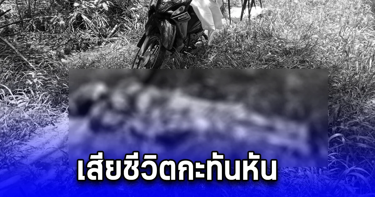 ลุงป่วยโรคหัวใจ เส้นเลือดตีบ เก็บน้ำยาง วูบดับคาสวน