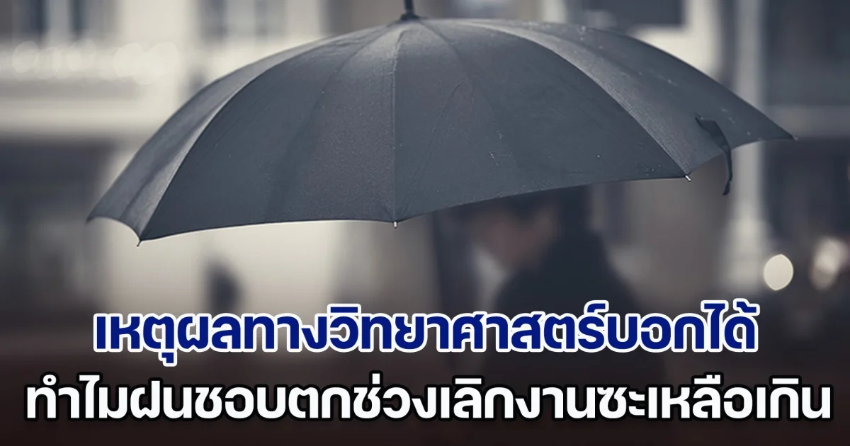 เฉลยแล้ว! เหตุผลทางวิทยาศาสตร์บอกได้ ทำไมฝนชอบตกช่วงเลิกงานซะเหลือเกิน