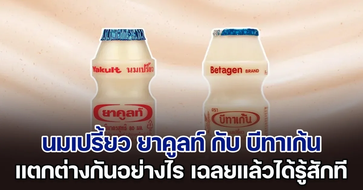 เฉลยแล้ว นมเปรี้ยว ยาคูลท์ กับ บีทาเก้น แตกต่างกันอย่างไร ได้รู้สักที