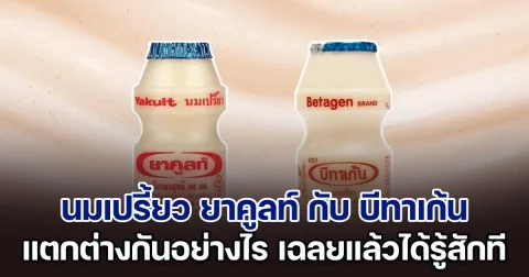 เฉลยแล้ว นมเปรี้ยว ยาคูลท์ กับ บีทาเก้น แตกต่างกันอย่างไร ได้รู้สักที