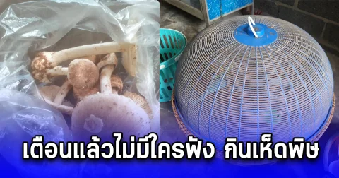 เตือนแล้วไม่มีใครฟัง กินเห็ดพิษ เสียชีวิต 1 สาหัสอีก 2