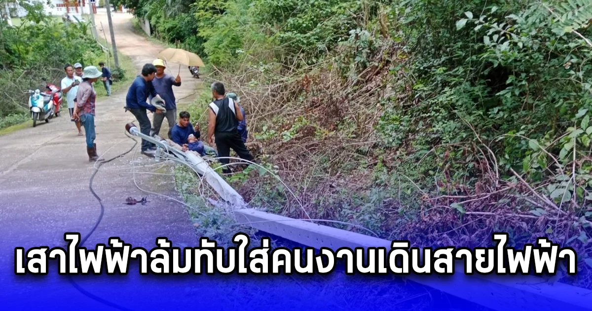 เสาไฟฟ้าล้มทับใส่คนงานเดินสายไฟฟ้า ขณะปีนยอดเสาเดินสายไฟเจ็บสาหัส