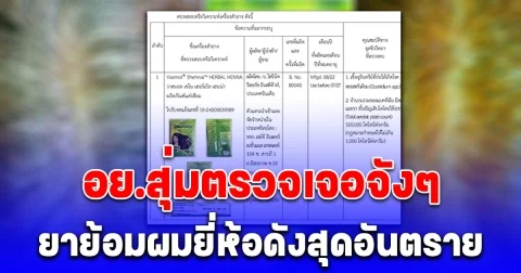 เจอจังๆ อย.สุ่มตรวจยาย้อมผมยี่ห้อดัง ผลออกมาอึ้ง พบแบคทีเรีย-รา เกินมาตรฐาน 500 เท่า