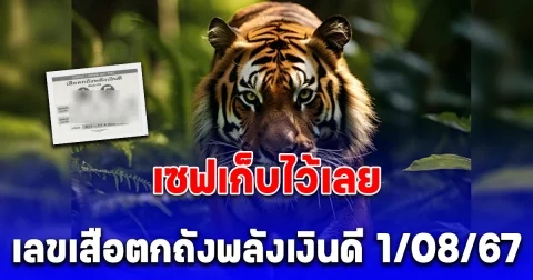 เซฟเก็บไว้เลย แนวทางจาก เสือตกถังพลังเงินดี งวด 1 สิงหาคม 67