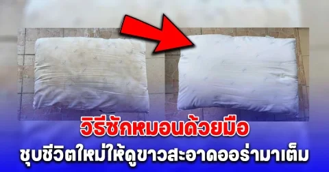 ง่ายมาก วิธีซักหมอนด้วยมือ ให้ดูขาวสะอาดเหมือนใหม่