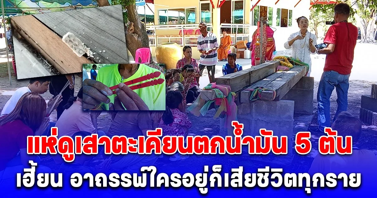 แห่ดูเสาตะเคียนตกน้ำมัน 5 ต้น เฮี้ยน อาถรรพ์ใครอยู่ก็เสียชีวิตทุกราย เจ้าของต้องยอมรื้อบ้านมาถวายไว้วัด ตรงกับวันเปิดวิหารใหม่ เบิกเนตรพระ 5 องค์