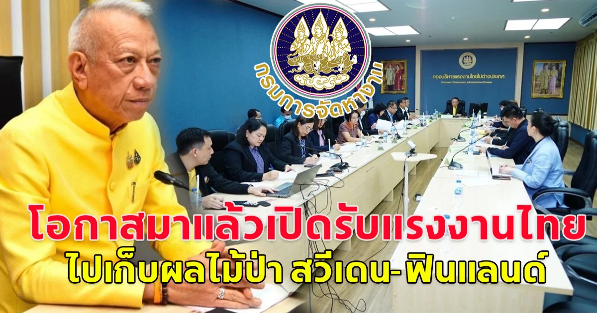 มีข่าวดีมาบอก สมัครได้แล้ววันนี้ กรมจัดหางาน เปิดรับสมัครแรงงานไทย เก็บผลไม้ป่า ที่ประเทศสวีเดน-ฟินแลนด์