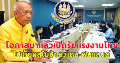 มีข่าวดีมาบอก สมัครได้แล้ววันนี้ กรมจัดหางาน เปิดรับสมัครแรงงานไทย เก็บผลไม้ป่า ที่ประเทศสวีเดน-ฟินแลนด์