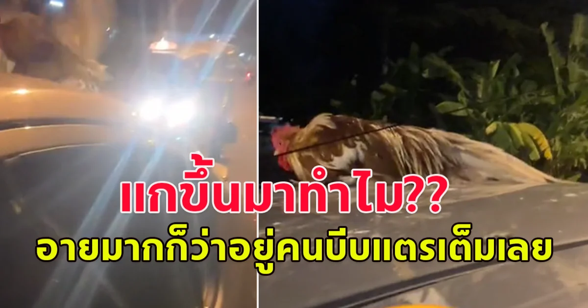 สาวขับรถเก๋งอยู่ดีๆ สงสัยทำไมมีแต่คนบีบแตรใส่