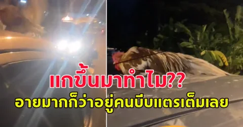 สาวขับรถเก๋งอยู่ดีๆ สงสัยทำไมมีแต่คนบีบแตรใส่