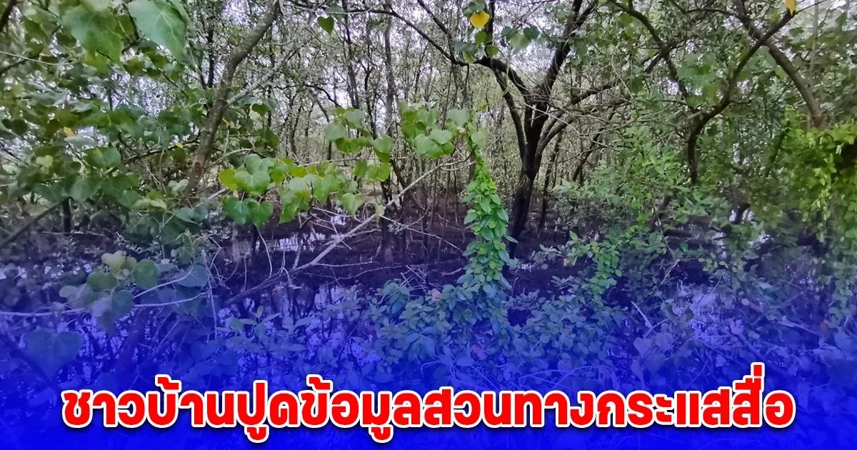 กลิ่นเริ่มเหม็นคลุ้งโชยทั่วป่าแสม ขณะชาวบ้านปูดข้อมูลสวนทางกระแสสื่อ