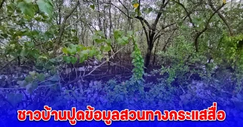 กลิ่นเริ่มเหม็นคลุ้งโชยทั่วป่าแสม ขณะชาวบ้านปูดข้อมูลสวนทางกระแสสื่อ