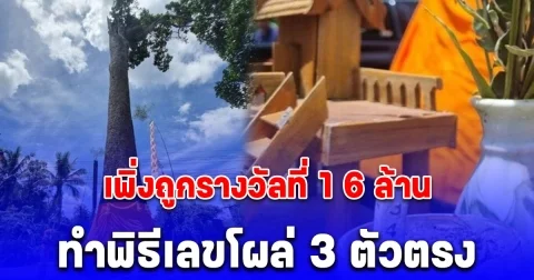 เศรษฐีใหม่ ถูกรางวัลที่ 1 ทำพิธี บวชต้นยางยักษ์ อายุกว่า 1,000 ปี 7 คนโอบ ไม่พลาดส่องเลขโผล่ 3 ตัวตรง