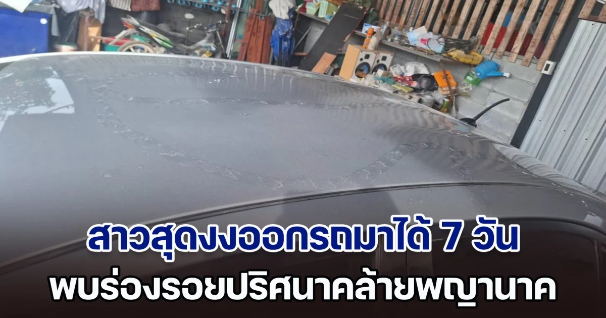 สาวสุดงงออกรถมาได้ 7 วัน พบร่องรอยปริศนาคล้ายพญานาค เลื้อยรอบรถเหมือนในฝัน เชื่อมาให้โชค