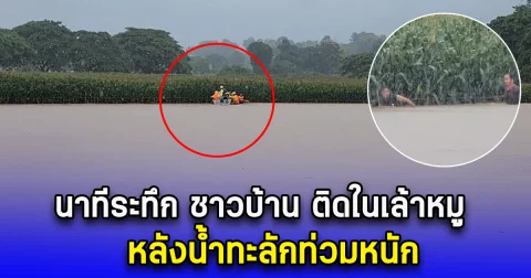 นาทีระทึก ชาวบ้าน ติดในเล้าหมู หลังน้ำทะลักท่วมหนัก