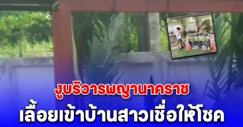 ฮือฮา งูบริวารพญานาคราชเลื้อยเข้าบ้านสาวเชื่อให้โชค