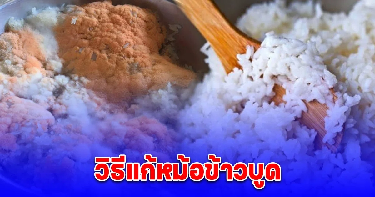 วิธีแก้หม้อข้าวบูด หมดเรื่องกวนใจ ข้าวอร่อยเหมือนเดิม