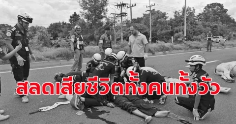 สุดเศร้า ลุงขับบิ๊กไบค์ชนวัวข้ามถนน เสียชีวิตทั้งคนและวัว