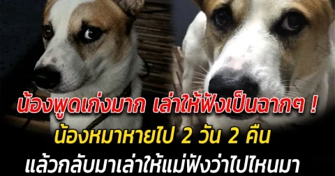 น้องพูดเก่งมาก เล่าให้ฟังเป็นฉากๆ เมื่อน้องหมาหายไป 2 วัน แล้วกลับมาเล่าให้แม่ฟังว่าไปไหนมา