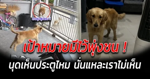 เป้าหมายมีไว้พุ่งชน นุดเห็นประตูไหม นั่นแหละเราไม่เห็น