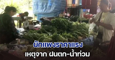 ผักแพงราคาแรง ต้นหอมพุ่งกิโลกรัมละ 250 บาท เหตุ ฝนตก-น้ำท่วม ทำผลผลิตลดฮวบ