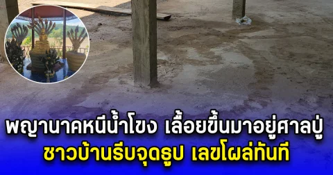 พญานาคหนีน้ำโขง เลื้อยขึ้นมาอยู่ศาลปู่ ชาวบ้านรีบจุดธูป เลขโผล่ทันที