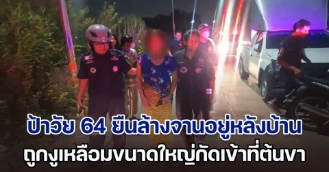 ไอ้เหลือมยักษ์โหด! จ้องเขมือบป้า 64 ปี ยืนล้างจานอยู่หลังบ้าน พุ่งขย้ำต้นขา ก่อนรัดแน่นทั้งตัว ดิ้นสู้นานกว่า 2 ชั่วโมง เกือบไม่รอด