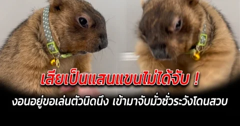 เสียเป็นแสนแขนไม่ได้จับ งอนอยู่ขอเล่นตัวนิดนึง เข้ามาจับมั่วซั่วระวังโดนสวบ