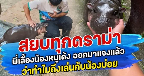 สยบทุกดราม่า พี่เลื้องน้องหมูเด้ง ออกมาแจงแล้ว ว่าทำไมถึงเล่นกับน้องบ่อย