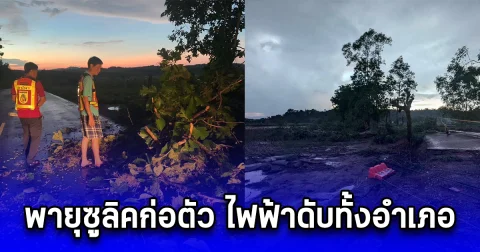 พายุซูลิคก่อตัว ทำฝนถล่มพะเยา ต้นไม้หักโค่นทับเสาไฟฟ้าดับทั้งอำเภอ