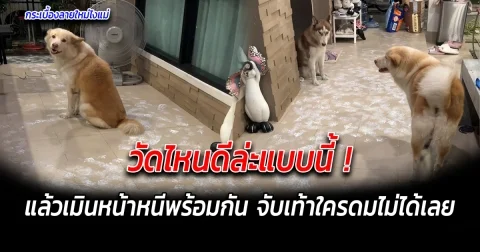 วัดไหนดีล่ะแบบนี้ แล้วเมินหน้าหนีพร้อมกัน จับเท้าใครดมไม่ได้ ไม่รู้ตัวไหนทำ