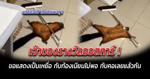 เจ้าของรางวัลออสการ์ ทำล้มเองแต่แสดงเป็นเหยื่อ ทับท้องเนียนไม่พอ ทับคอเลยแล้วกัน