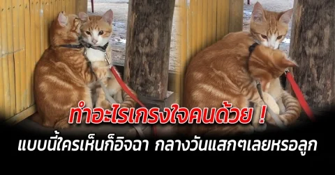 ทำอะไรเกรงใจคนด้วย แบบนี้ใครเห็นก็อิจฉา กลางวันแสกๆเลยหรอลูก หลบหน่อยก็ได้