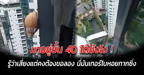 มาอยู่ชั้น 40 ได้ยังไง รู้ว่าเสี่ยงแต่คงต้องขอลอง นี่มันเทอร์โบหอยทากยอดนักซิ่ง