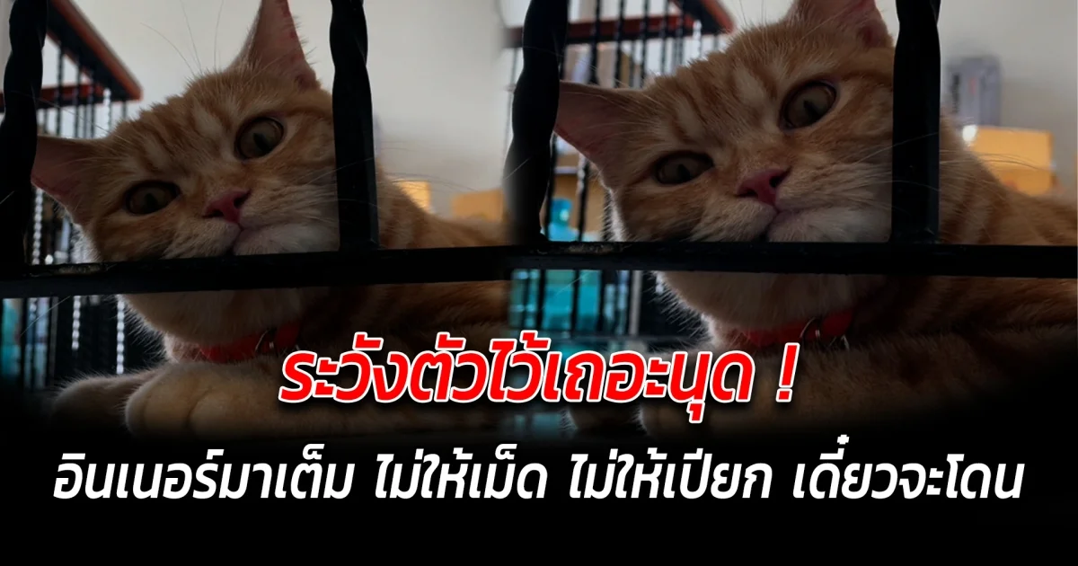 ระวังตัวไว้เถอะนุด หน้าน้องอินเนอร์มาเต็ม ไม่ให้เม็ด ไม่ให้เปียก เดี๋ยวจะโดน