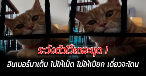 ระวังตัวไว้เถอะนุด หน้าน้องอินเนอร์มาเต็ม ไม่ให้เม็ด ไม่ให้เปียก เดี๋ยวจะโดน