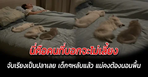 นี่คือคนที่บอกจะไม่เลี้ยง จับเรียงเป็นปลาเลย เด็กๆหลับแล้ว แม่คงต้องนอนพื้น