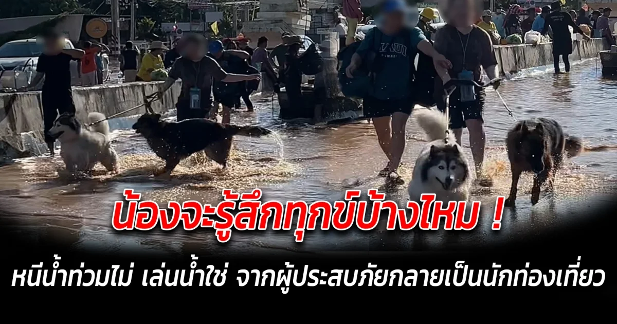 น้องจะรู้สึกทุกข์บ้างไหม หนีน้ำท่วมไม่ เล่นน้ำใช่ จากผู้ประสบภัยกลายเป็นนักท่องเที่ยว