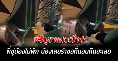 พิธีบูชาแมวเป้า พี่ขู่น้องไม่พัก น้องเลยรำขอที่นอนคืนซะเลย