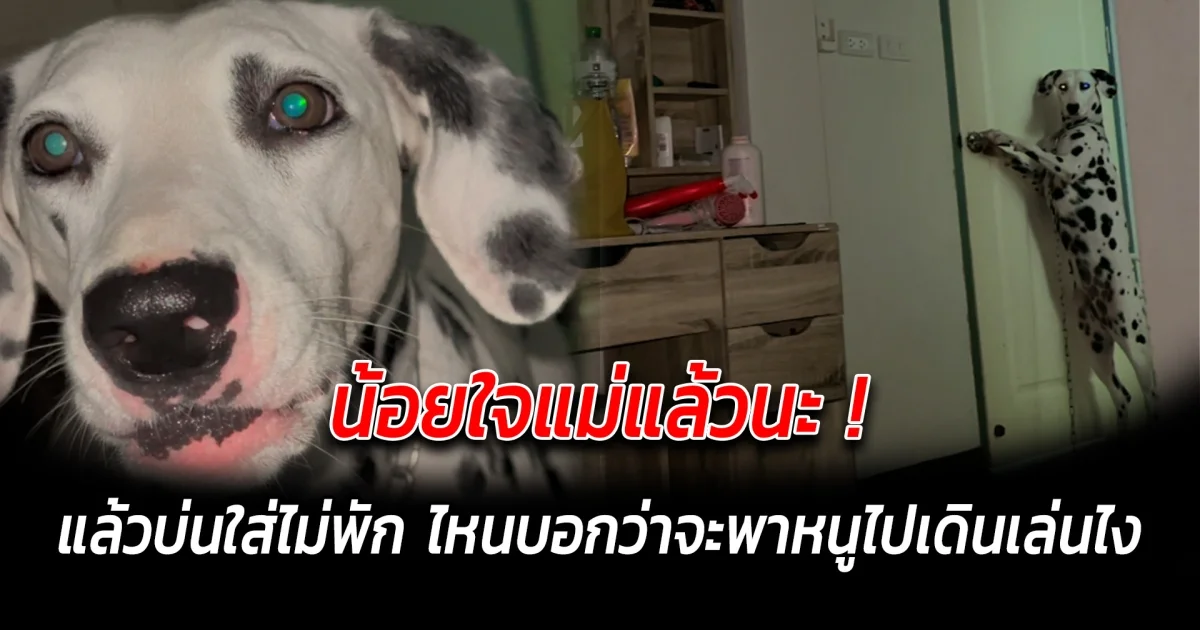 น้อยใจแม่แล้วนะ แล้วบ่นใส่ไม่พัก ไหนบอกว่าจะพาหนูไปเดินเล่นไง